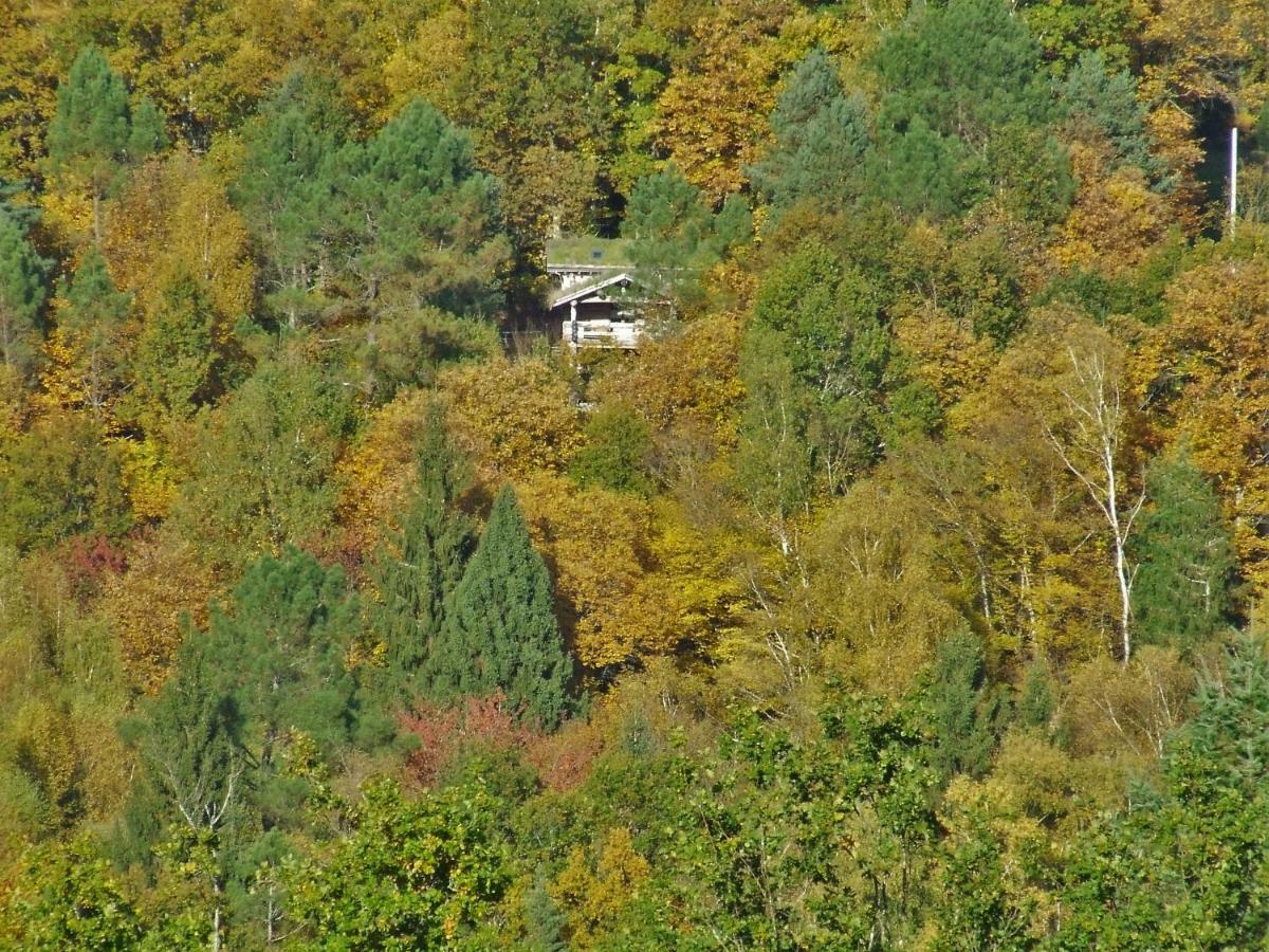 La cabane de Hans Saint-Martial-de-Gimel Extérieur photo